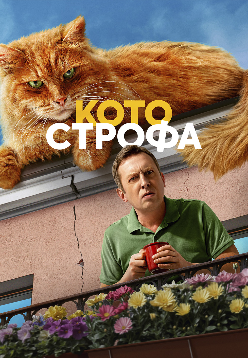 Котострофа